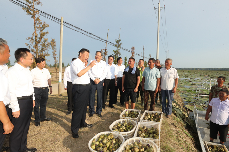 8月18日至21日,中共中央总书记、国家主席、中央军委主席习近平在安徽省考察。这是18日下午,习近平在阜阳市阜南县蒙洼蓄洪区,同正在采摘芡实的乡亲们亲切交流,了解灾后生产恢复情况。